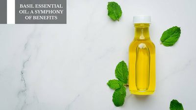 Basil Essential Oil: A Symphony Of Benefits