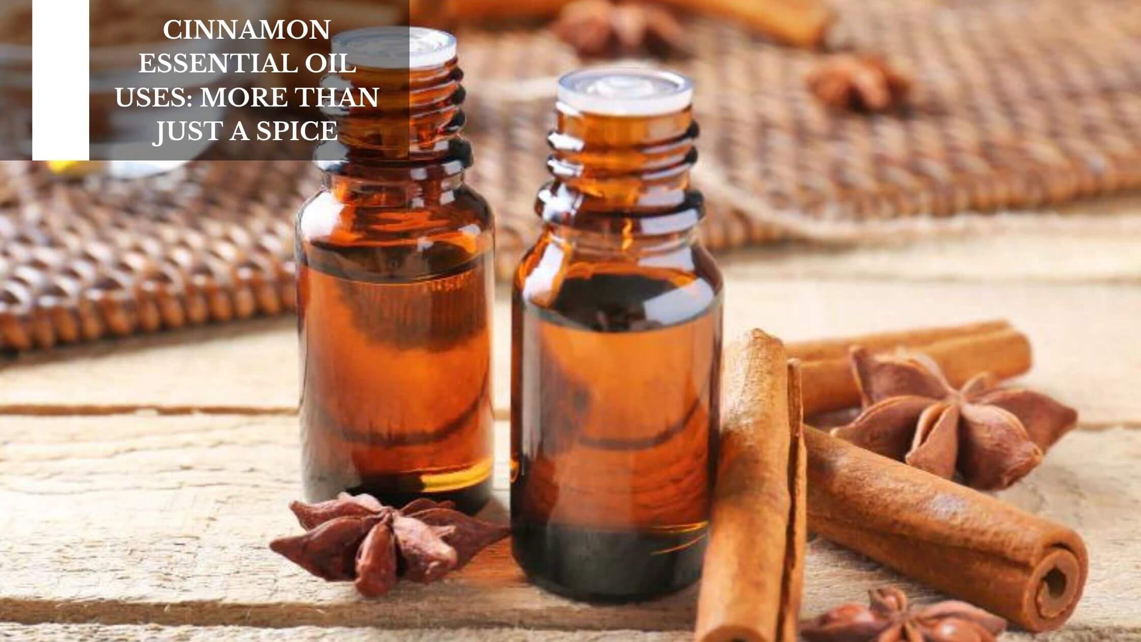 Cinnamon Essential Oil Uses: More Than Just A Spice – Moksha
