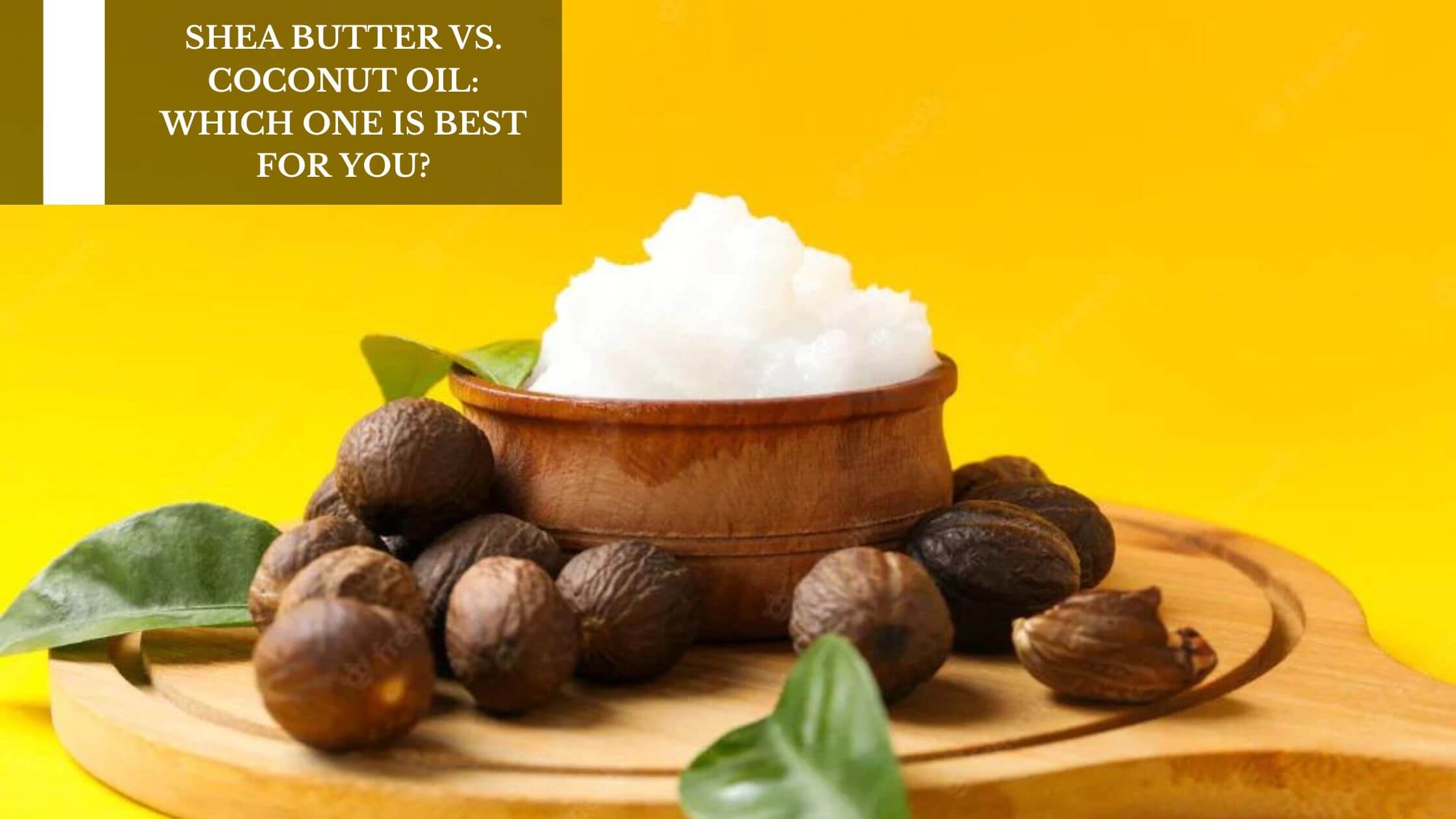 Shea Butter vs. Coconut Oil Which One Is Best For You? Moksha
