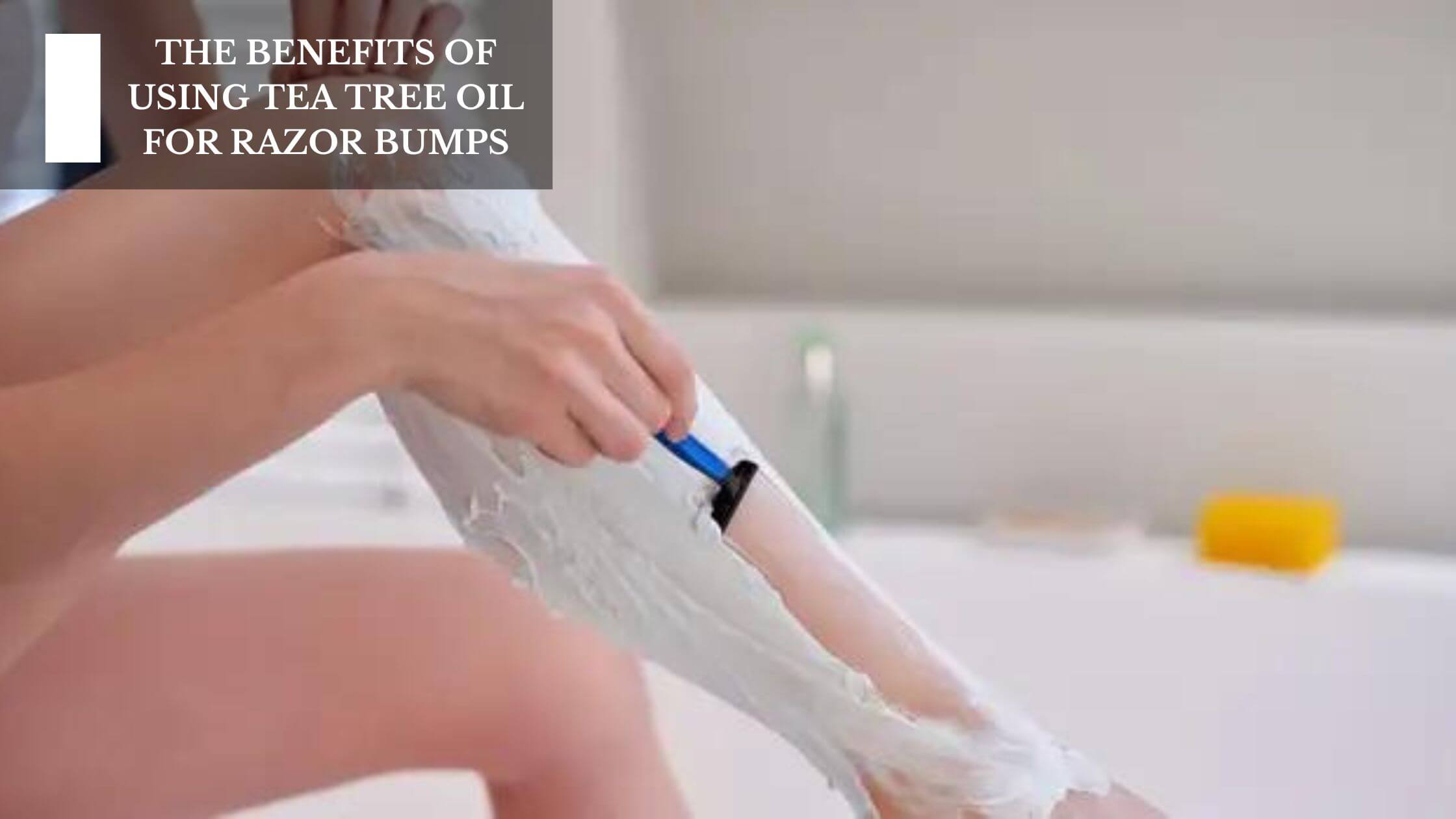 The Benefits Of Using Tea Tree Oil For Razor Bumps – Moksha Lifestyle