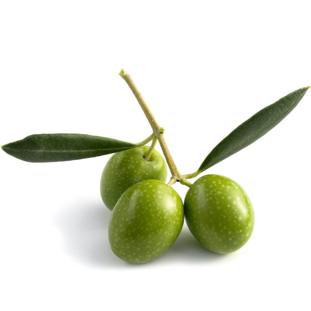 Buy Pure Organic Olive Squalane Online in India at Best Price Moksha