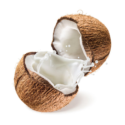 coconut oil - buy pure organic virgin coconut oil online in india at best prices on moksha  Edit alt text