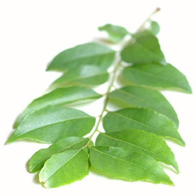 curry-leaf-hydrosol