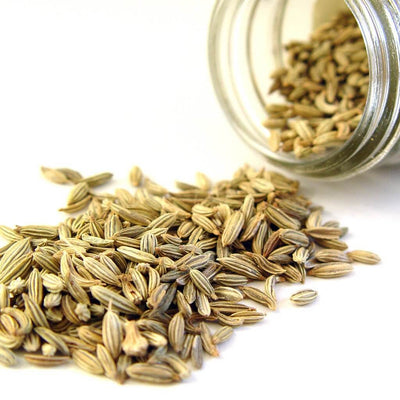 fennel-seed-oil