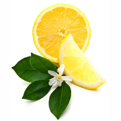 lemon-blossom-fragrance-oil