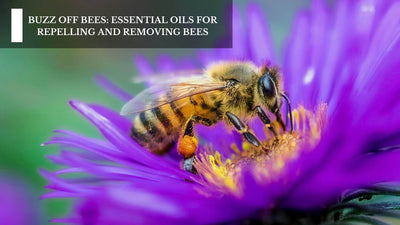 Buzz Off Bees: Essential Oils For Repelling And Removing Bees