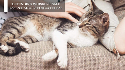 Defending Whiskers: Safe Essential Oils For Cat Fleas