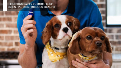 Fighting Fatty Tumors- Best Essential Oils For Dogs' Health