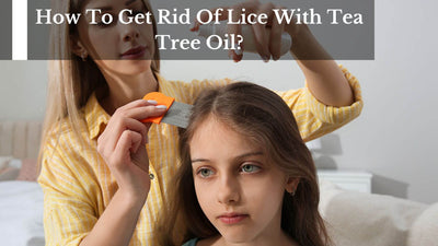 How To Get Rid Of Lice With Tea Tree Oil?