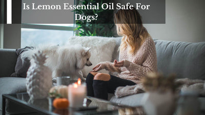 Is Lemon Essential Oil Safe For Dogs?