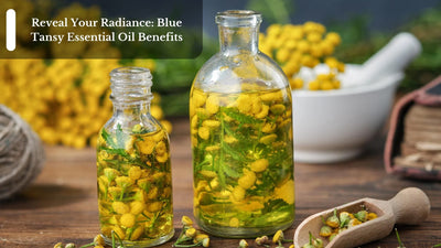 Reveal Your Radiance: Blue Tansy Essential Oil Benefits