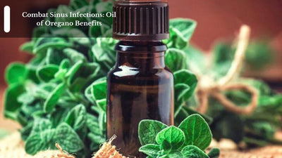 Combat Sinus Infections: Oil of Oregano Benefits