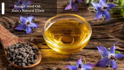Borage Seed Oil: Hair's Natural Elixir