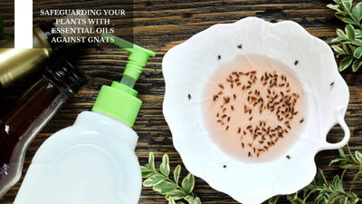 Safeguarding Your Plants With Essential Oils Against Gnats