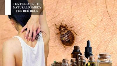 Tea Tree Oil: The Natural Remedy For Bed Bugs