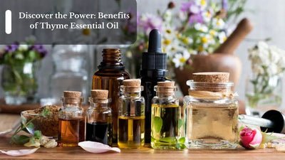 Discover the Power: Benefits of Thyme Essential Oil