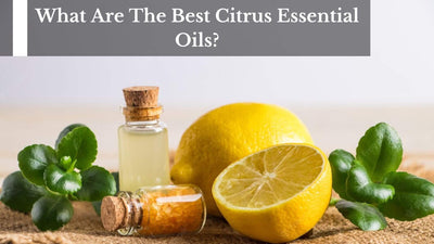 What Are The Best Citrus Essential Oils?