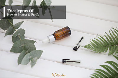 Purify and Protect with Eucalyptus Oil I DIY recipes