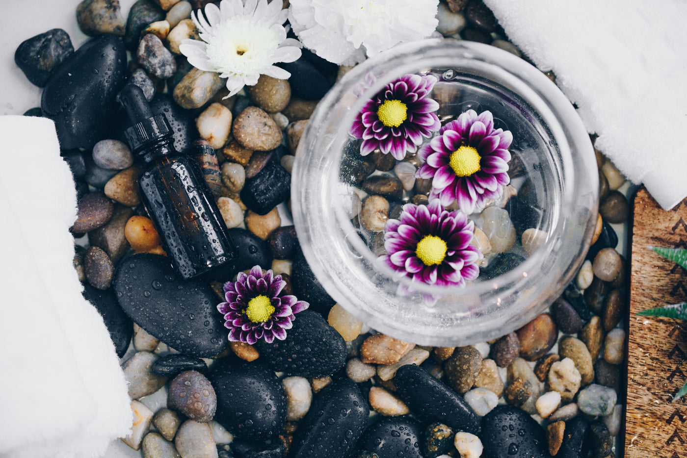 Certified Organic Essential Oils Carrier Oils Floral Waters Natural Certified Organic Essential Oils Carrier Oils Floral Waters Natural
