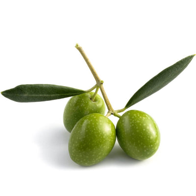olive-squalane-oil