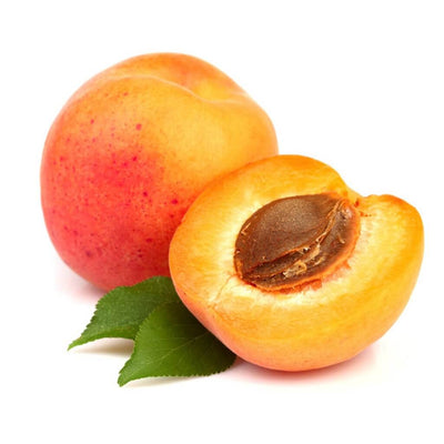 apricot-oil