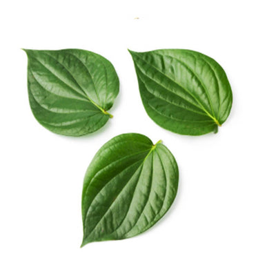 betel-leaf-oil