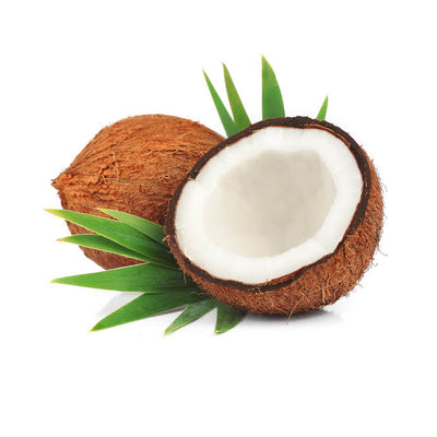 buy pure organic coconut oil online in india at best prices on moksha