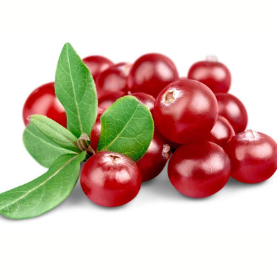 cranberry-fragrance-oil