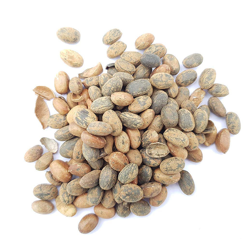 Buy Pure Organic Cold Pressed Croton Oil Online in India at Best Price ...