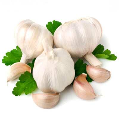 garlic-oil
