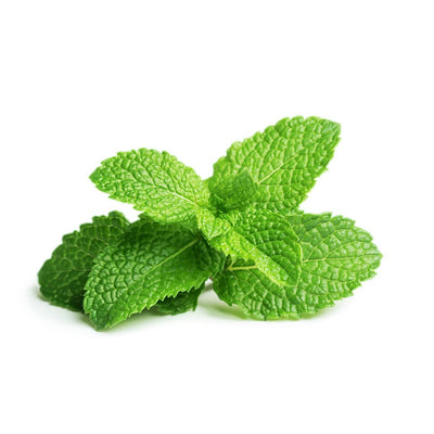 buy pure organic peppermint oil online in india at best prices